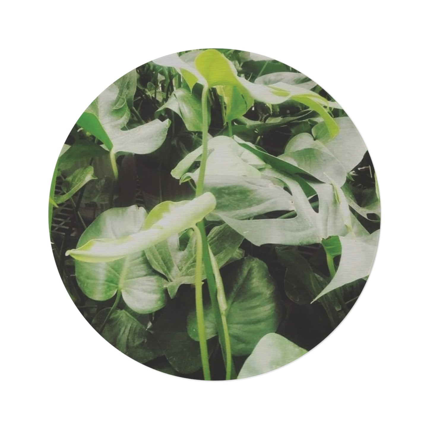 Nature Round Rug — Green Leaf Botanical Floor Mat